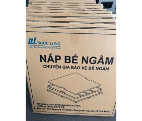 Nắp bể ngầm 60x60